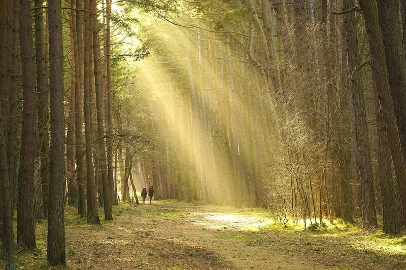 Walking Meditation